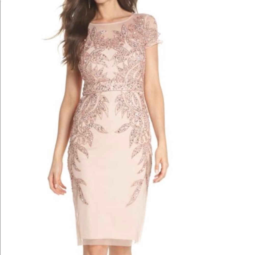 Adrianna Papell Blush dress